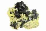 Black Tourmaline (Schorl) Crystals with Orthoclase - Namibia #132222-1